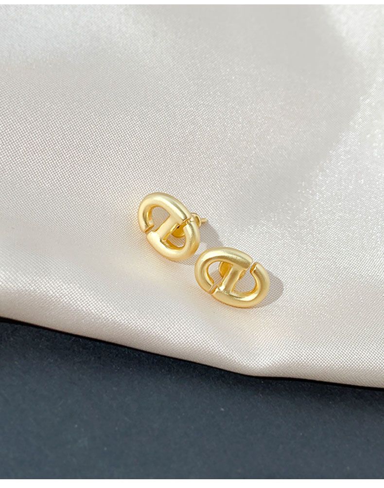 AOMIDIORレディーファッション高級感耳飾り 気質 精緻女性イヤリング EH0111