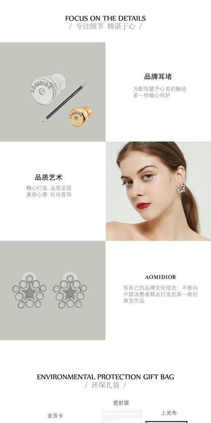 AOMIDIORレディーファッション高級感耳飾り 気質 精緻女性イヤリング EH0136