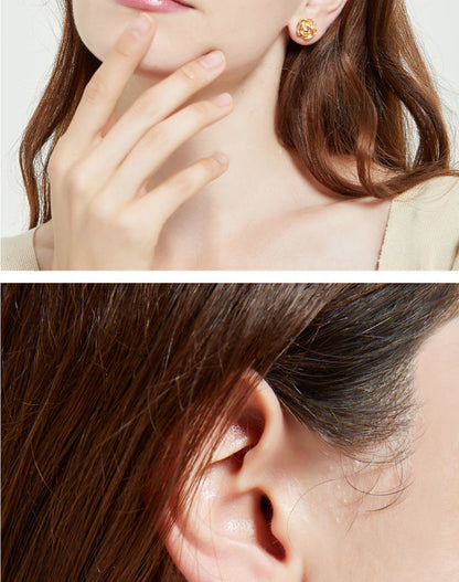 AOMIDIORレディーファッション高級感耳飾り 気質 精緻女性イヤリング EH0140