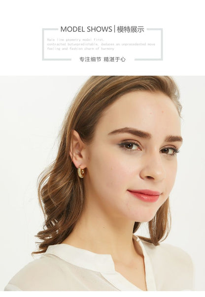 AOMIDIOR 女性イヤリング 高級感 気質 精緻 レディーファッション耳飾り CDEH0001