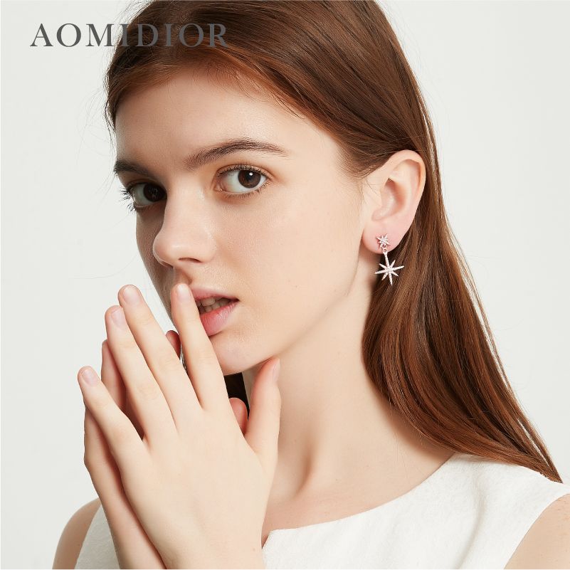 AOMIDIORレディーファッション高級感耳飾り 気質 精緻女性イヤリング EH0148