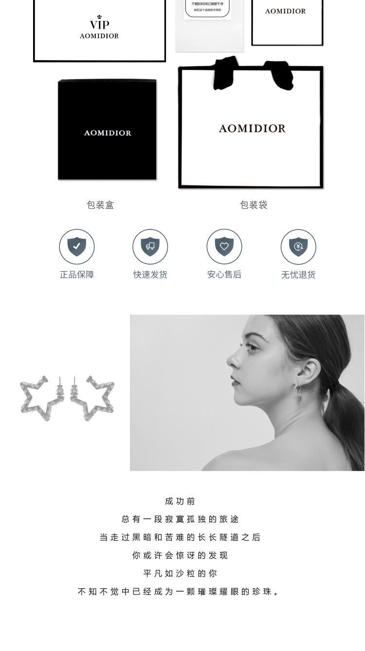 AOMIDIORレディーファッション高級感耳飾り 気質 精緻女性イヤリング EH0142