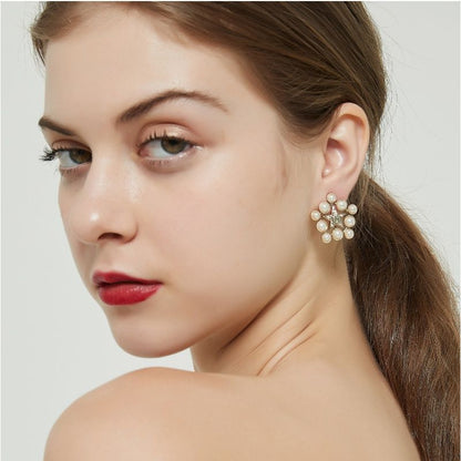 AOMIDIORレディーファッション高級感耳飾り 気質 精緻女性イヤリング EH0136