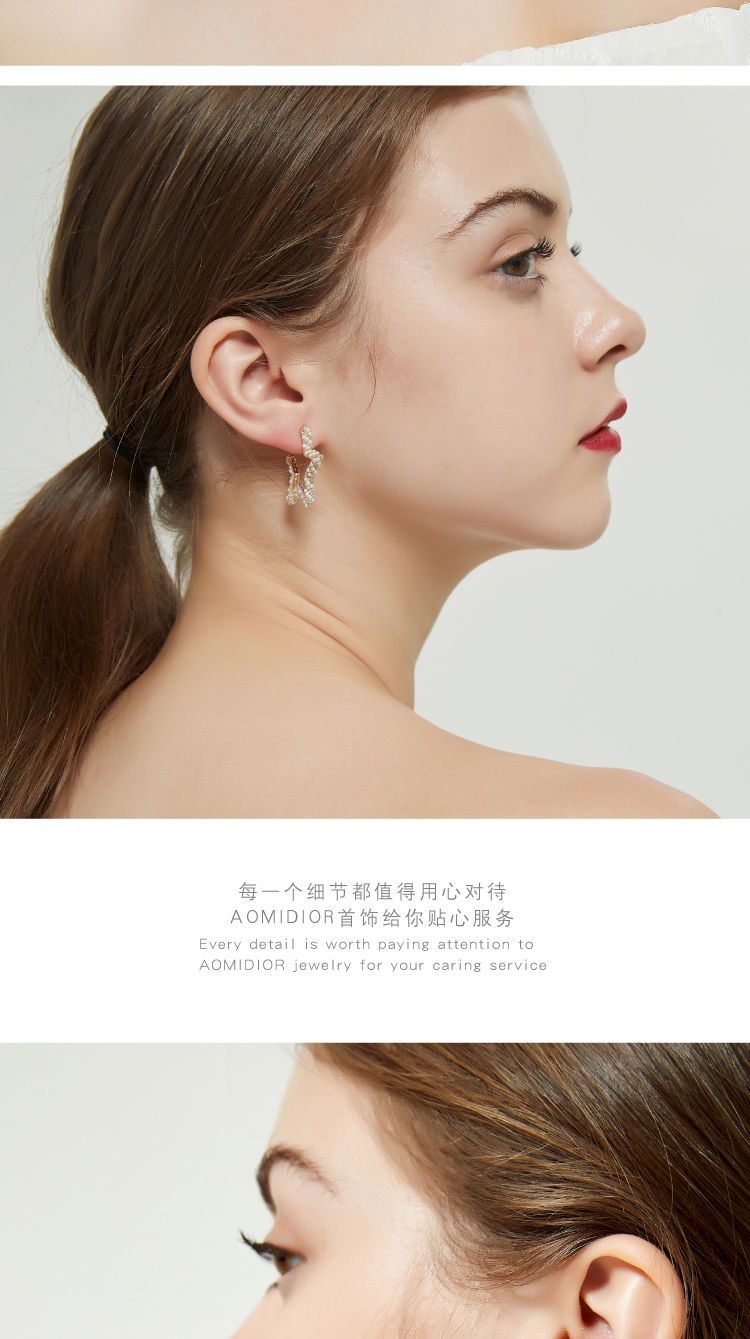 AOMIDIORレディーファッション高級感耳飾り 気質 精緻女性イヤリング EH0142