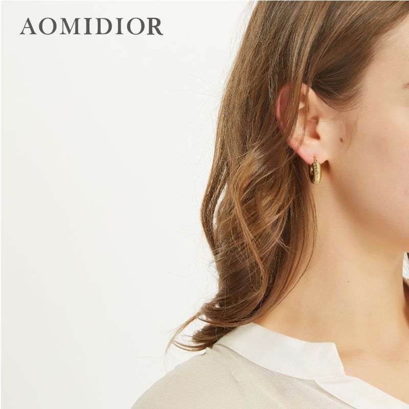 AOMIDIOR 女性イヤリング 高級感 気質 精緻 レディーファッション耳飾り CDEH0001