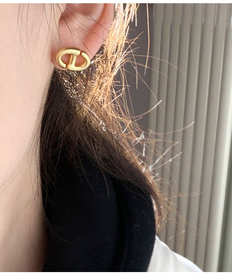 AOMIDIORレディーファッション高級感耳飾り 気質 精緻女性イヤリング EH0111