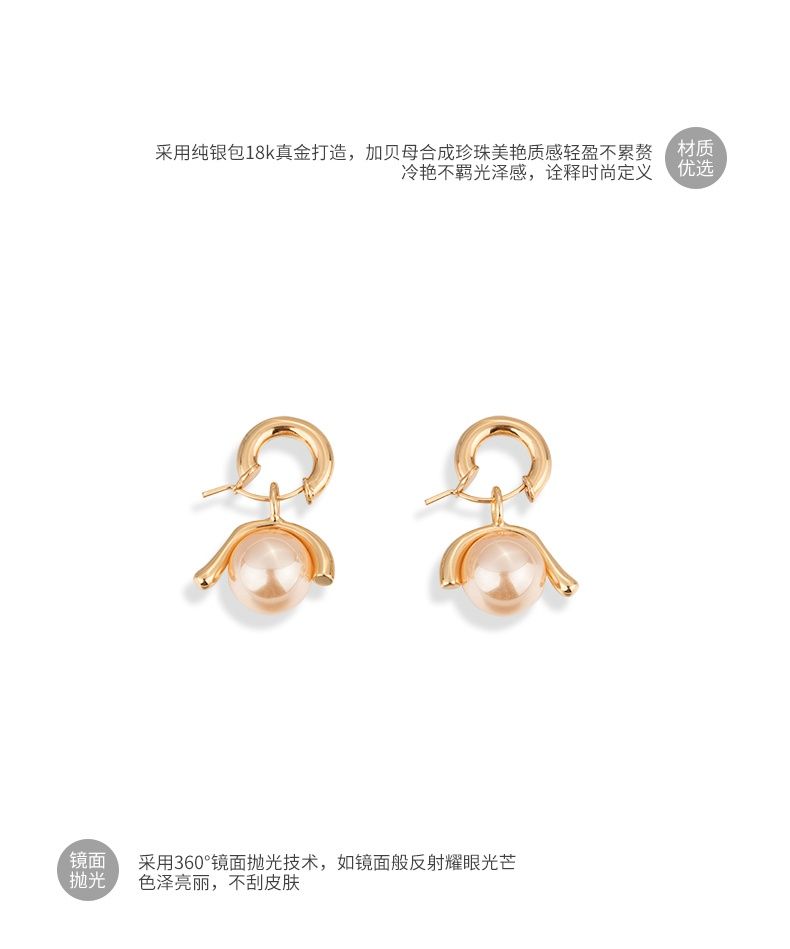 AOMIDIORレディーファッション高級感耳飾り 気質 精緻女性イヤリング EH0132