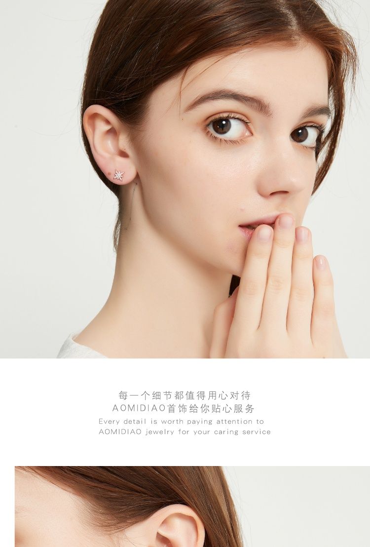 AOMIDIORレディーファッション高級感耳飾り 気質 精緻女性イヤリング EH0148