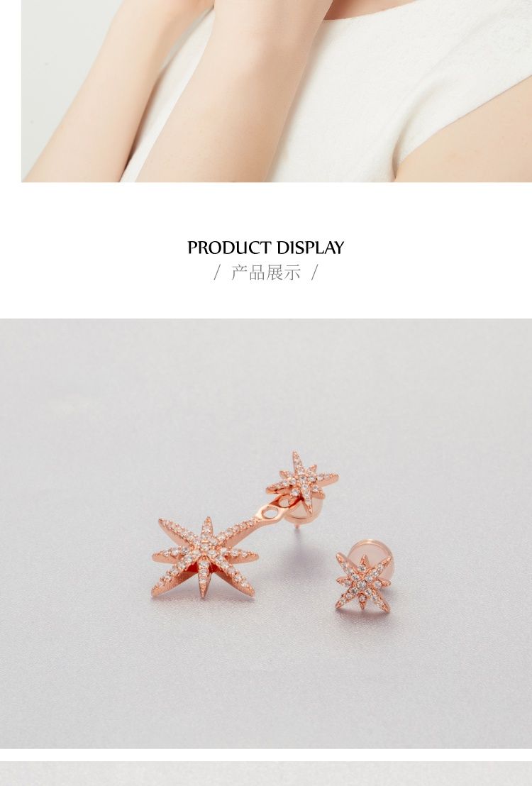 AOMIDIORレディーファッション高級感耳飾り 気質 精緻女性イヤリング EH0148