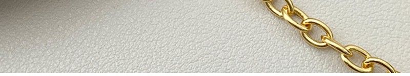 AOMIDIOR 女性ネックレス 高級感 気質 精緻 レディーファッション鎖骨チェーン