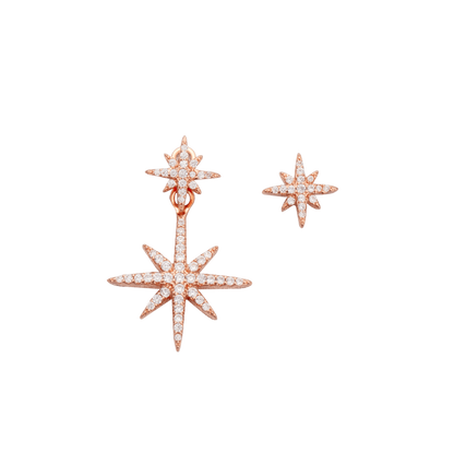 AOMIDIORレディーファッション高級感耳飾り 気質 精緻女性イヤリング EH0148