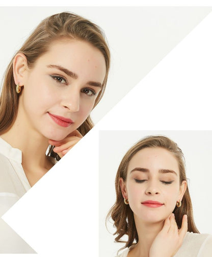 AOMIDIOR 女性イヤリング 高級感 気質 精緻 レディーファッション耳飾り CDEH0001