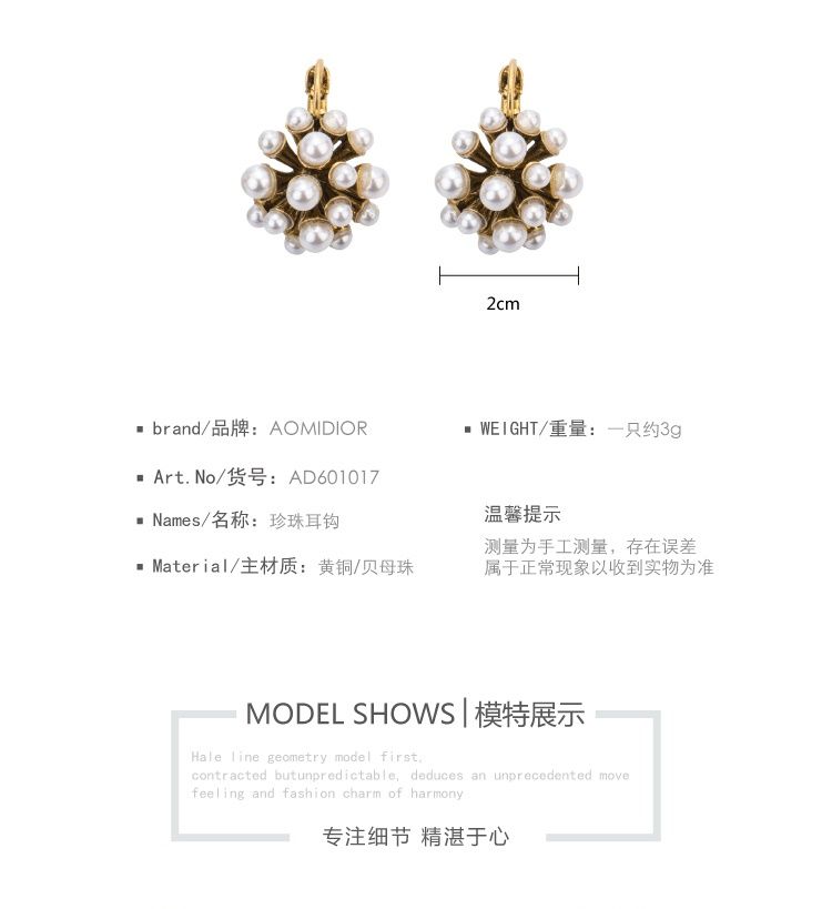 AOMIDIORレディーファッション高級感耳飾り 気質 精緻女性イヤリング EH0150