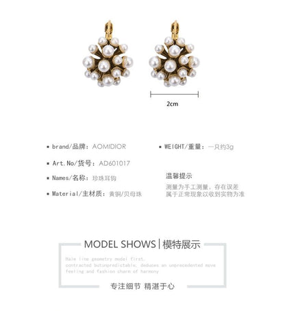 AOMIDIORレディーファッション高級感耳飾り 気質 精緻女性イヤリング EH0150