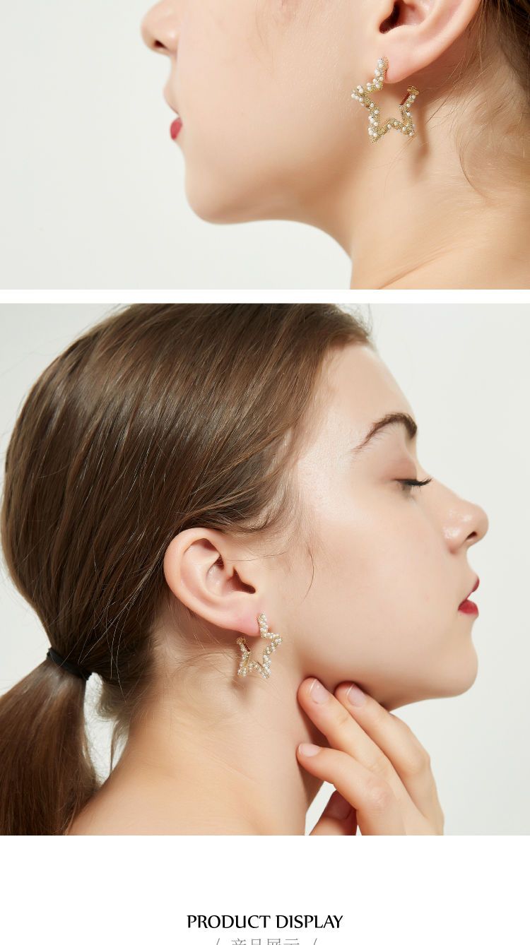 AOMIDIORレディーファッション高級感耳飾り 気質 精緻女性イヤリング EH0142