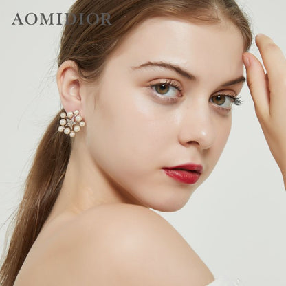 AOMIDIORレディーファッション高級感耳飾り 気質 精緻女性イヤリング EH0136