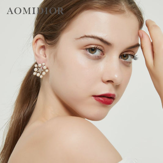 AOMIDIORレディーファッション高級感耳飾り 気質 精緻女性イヤリング EH0136