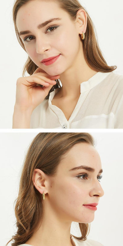 AOMIDIOR 女性イヤリング 高級感 気質 精緻 レディーファッション耳飾り CDEH0001