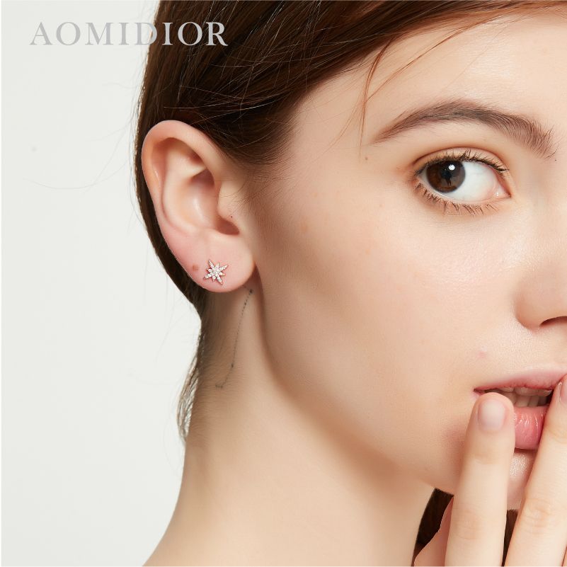 AOMIDIORレディーファッション高級感耳飾り 気質 精緻女性イヤリング EH0148