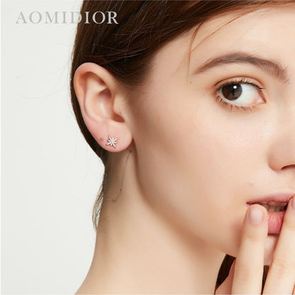 AOMIDIORレディーファッション高級感耳飾り 気質 精緻女性イヤリング EH0148