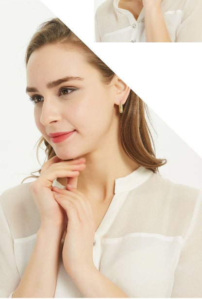 AOMIDIOR 女性イヤリング 高級感 気質 精緻 レディーファッション耳飾り CDEH0001