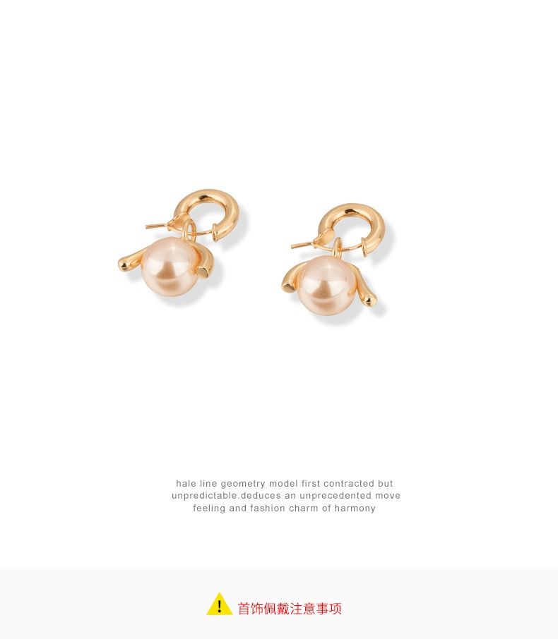 AOMIDIORレディーファッション高級感耳飾り 気質 精緻女性イヤリング EH0132