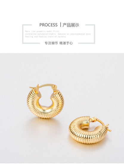 AOMIDIOR 女性イヤリング 高級感 気質 精緻 レディーファッション耳飾り CDEH0001