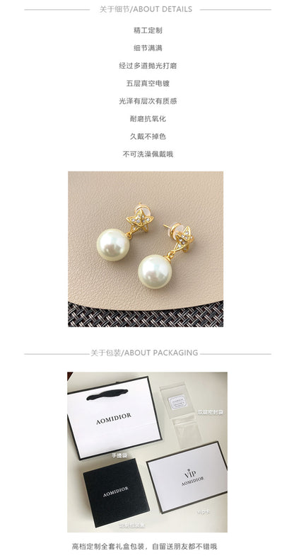AOMIDIORレディーファッション高級感耳飾り 気質 精緻女性イヤリング EH0096