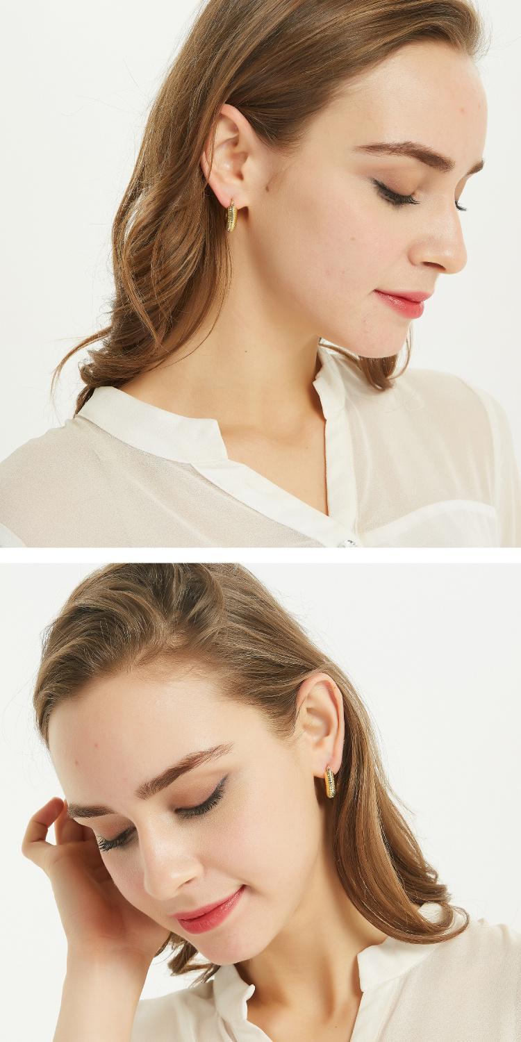 AOMIDIOR 女性イヤリング 高級感 気質 精緻 レディーファッション耳飾り CDEH0001