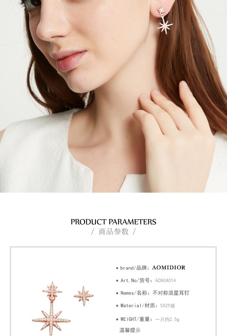 AOMIDIORレディーファッション高級感耳飾り 気質 精緻女性イヤリング EH0148