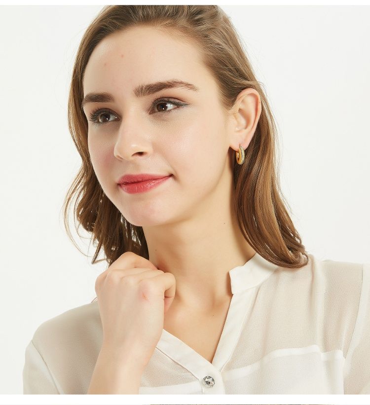 AOMIDIOR 女性イヤリング 高級感 気質 精緻 レディーファッション耳飾り CDEH0001