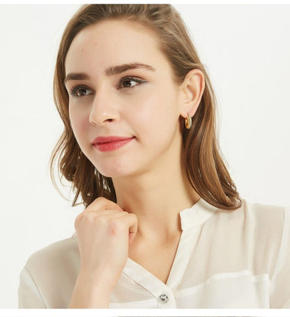AOMIDIOR 女性イヤリング 高級感 気質 精緻 レディーファッション耳飾り CDEH0001