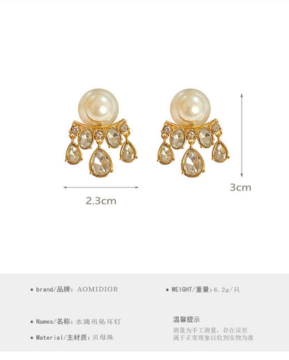 AOMIDIORレディーファッション高級感耳飾り 気質 精緻女性イヤリング EH0144