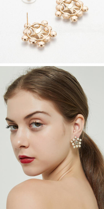 AOMIDIORレディーファッション高級感耳飾り 気質 精緻女性イヤリング EH0136