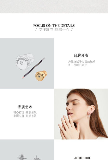 AOMIDIORレディーファッション高級感耳飾り 気質 精緻女性イヤリング EH0148