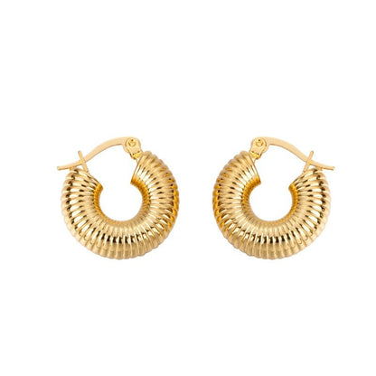 AOMIDIOR 女性イヤリング 高級感 気質 精緻 レディーファッション耳飾り CDEH0001