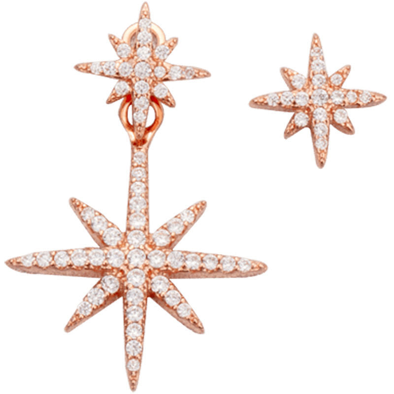 AOMIDIORレディーファッション高級感耳飾り 気質 精緻女性イヤリング EH0148