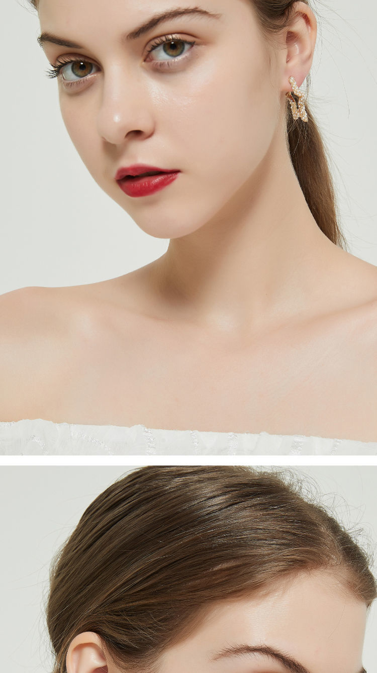 AOMIDIORレディーファッション高級感耳飾り 気質 精緻女性イヤリング EH0142