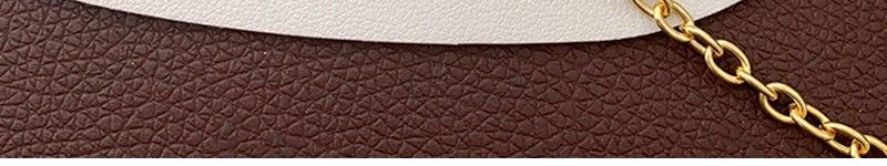 AOMIDIOR 女性ネックレス 高級感 気質 精緻 レディーファッション鎖骨チェーン