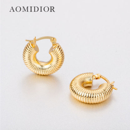 AOMIDIOR 女性イヤリング 高級感 気質 精緻 レディーファッション耳飾り CDEH0001