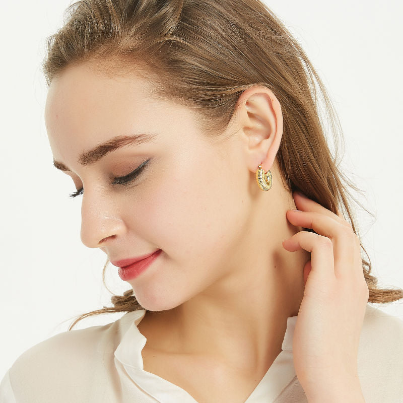 AOMIDIOR 女性イヤリング 高級感 気質 精緻 レディーファッション耳飾り CDEH0001