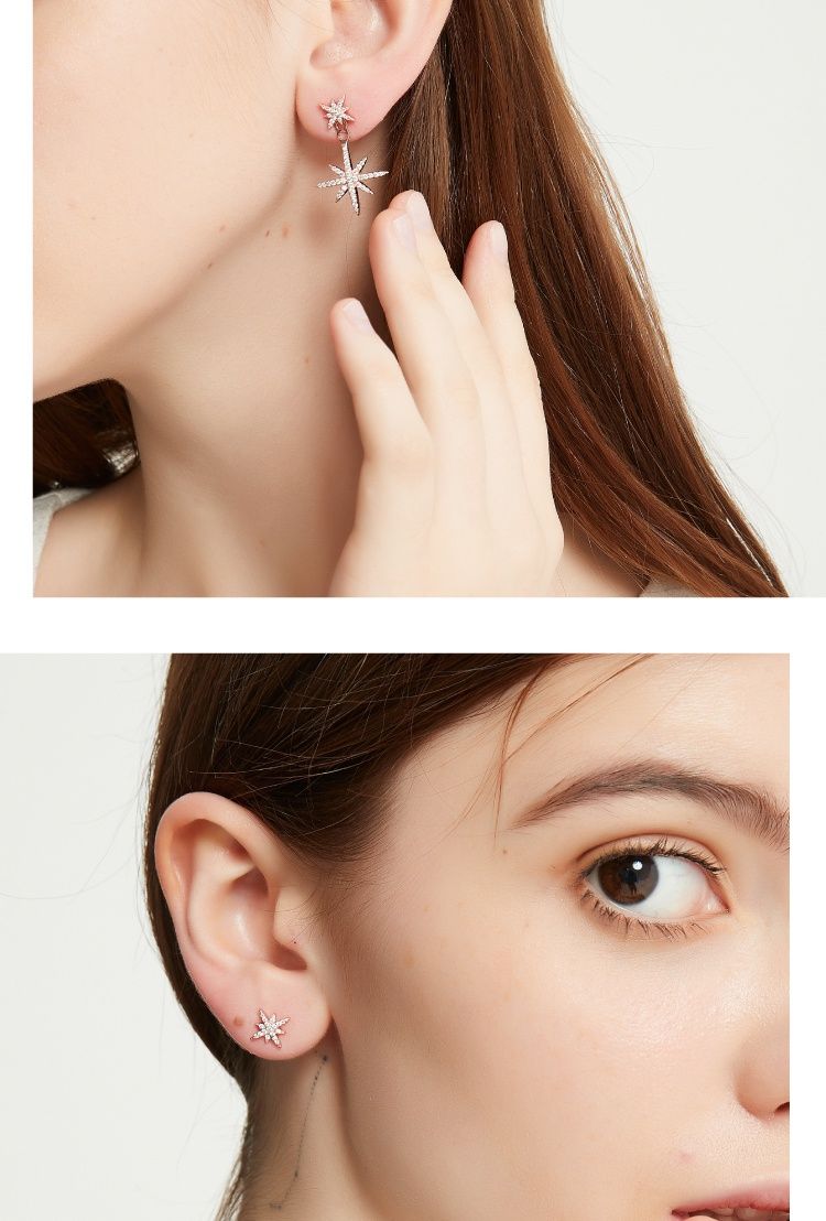 AOMIDIORレディーファッション高級感耳飾り 気質 精緻女性イヤリング EH0148