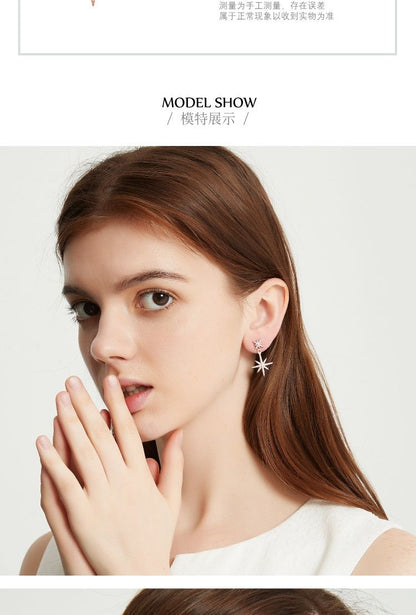 AOMIDIORレディーファッション高級感耳飾り 気質 精緻女性イヤリング EH0148