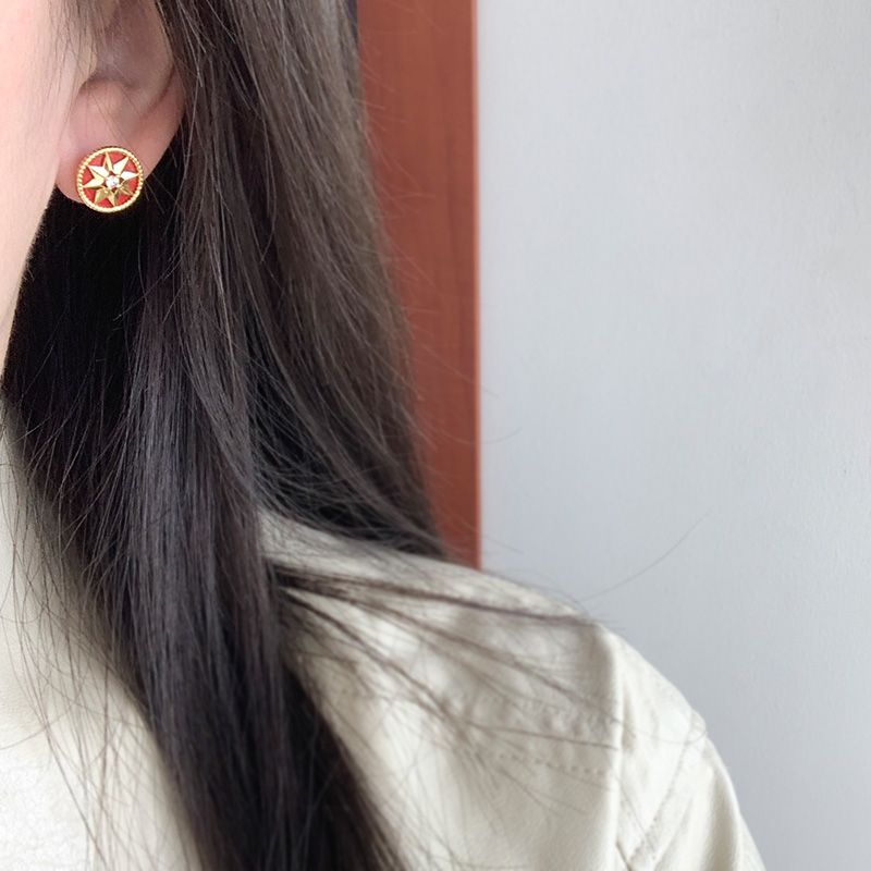 AOMIDIORレディーファッション高級感耳飾り 気質 精緻女性イヤリング EH0135