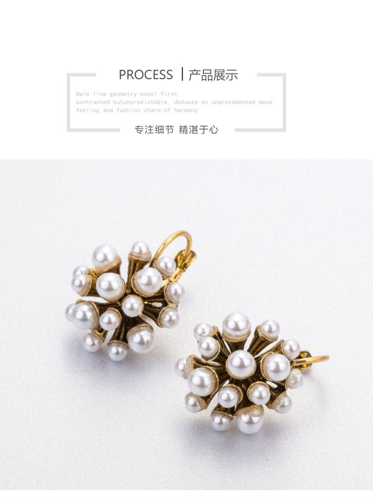 AOMIDIORレディーファッション高級感耳飾り 気質 精緻女性イヤリング EH0150