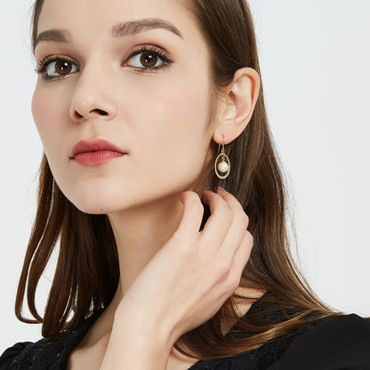 AOMIDIORレディーファッション高級感耳飾り 気質 精緻女性イヤリング EH0101