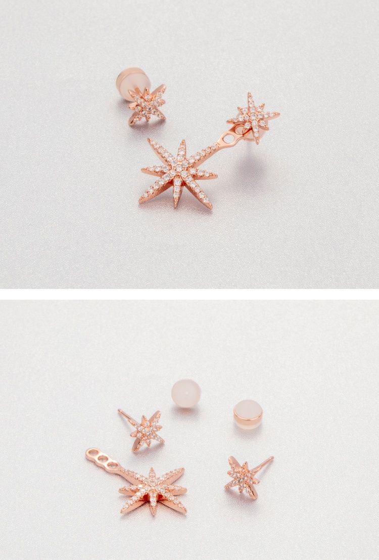 AOMIDIORレディーファッション高級感耳飾り 気質 精緻女性イヤリング EH0148