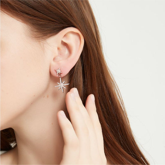 AOMIDIORレディーファッション高級感耳飾り 気質 精緻女性イヤリング EH0148