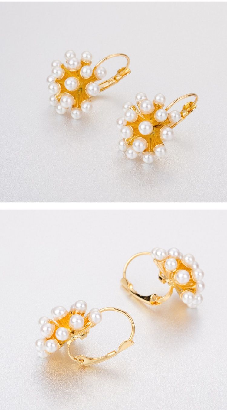 AOMIDIORレディーファッション高級感耳飾り 気質 精緻女性イヤリング EH0150