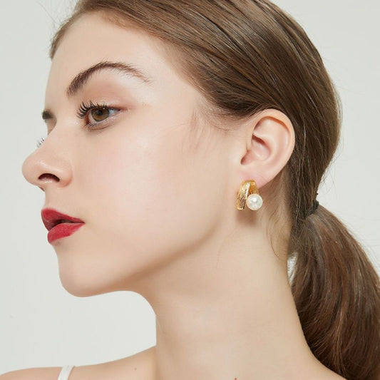 AOMIDIORレディーファッション高級感耳飾り 気質 精緻女性イヤリング EH0141